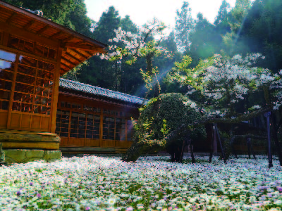 嘉義阿里山貴賓館